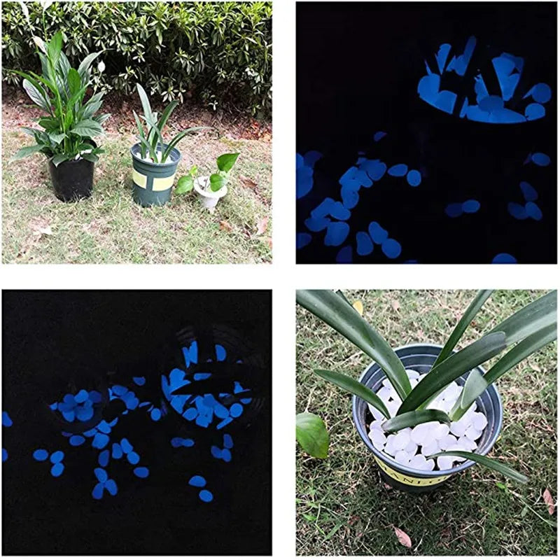 Luminous Glow in the Dark Stones -  2-3cm